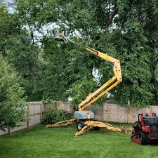 Best Tree Removal  in North Bellmore, NY
