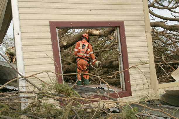 Best Leaf Removal  in North Bellmore, NY