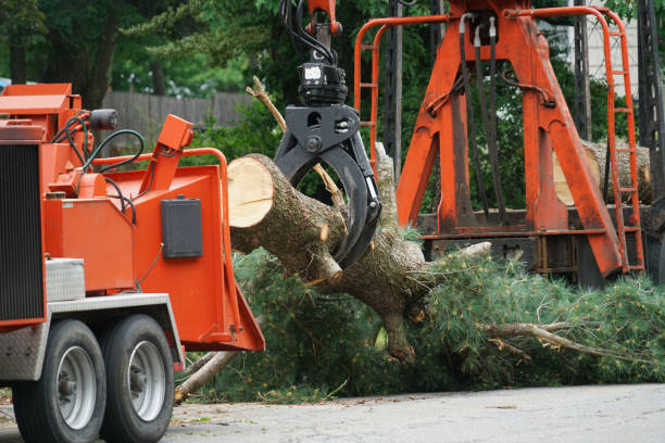 Lawn Watering Services in North Bellmore, NY